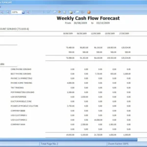 Budget-Advanced Financial Report