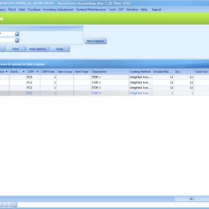 Inventory Physical Adjustment